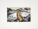 Strijdom van der Merwe-Stones in a Crevice