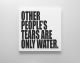 Ed Young-OTHER PEOPLE'S TEARS ARE ONLY WATER.