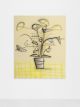 Terence Maluleke-My calla lilies