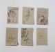 Tessa Teixeira-Orchidaceae Herbarium Collection notes