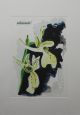 Tessa Teixeira-Critically Endangered Orchis Provincialis