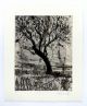 William Kentridge-Tree (Britannica)