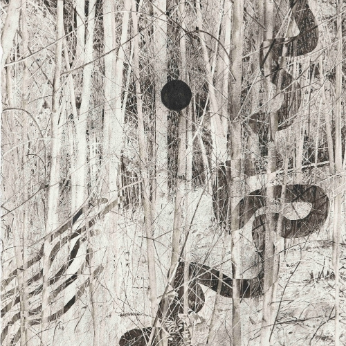 Wessel van Huyssteen