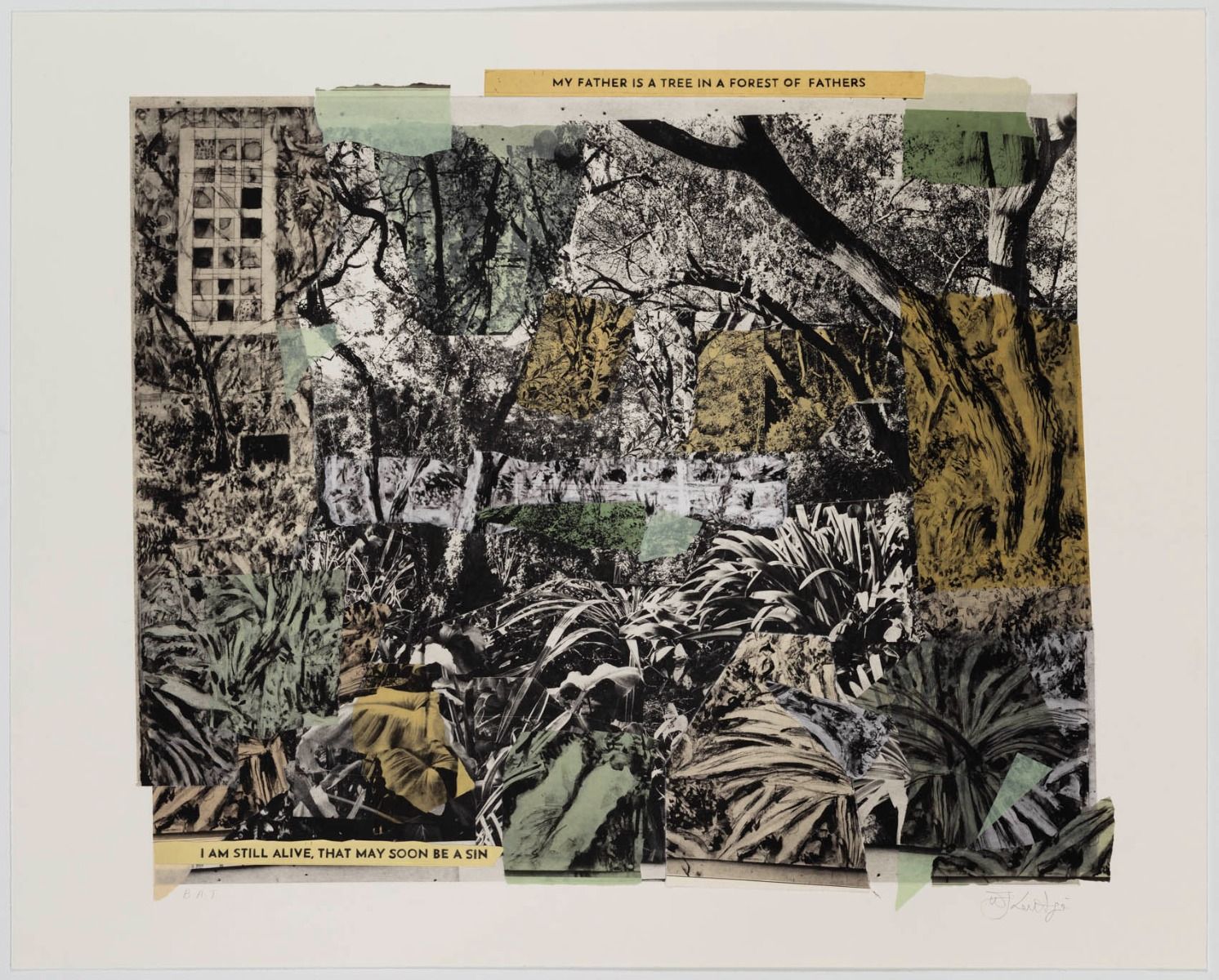 Print titled 'My Father is a Tree in a Forest of Fathers II' by artist William Kentridge