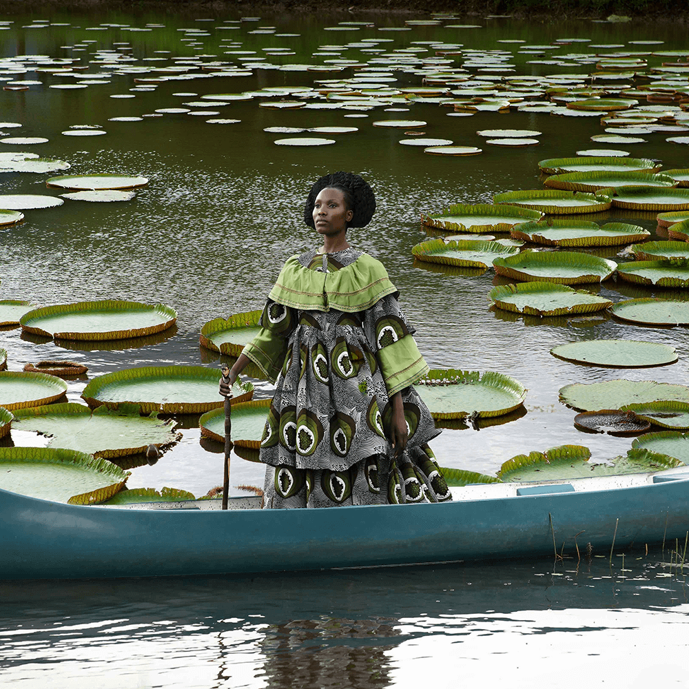 Tamary Kudita | Lotus
